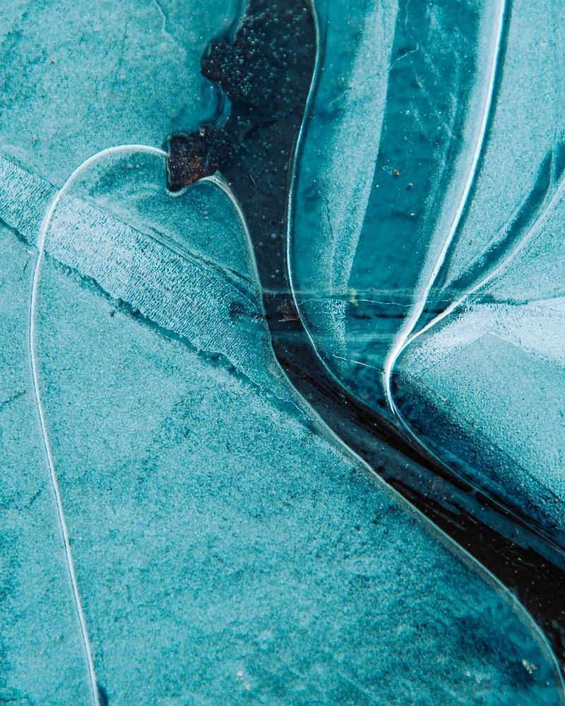 Abstract composition of herbal elements and ice textures