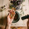 Minimalist profile represention for herbal specialist